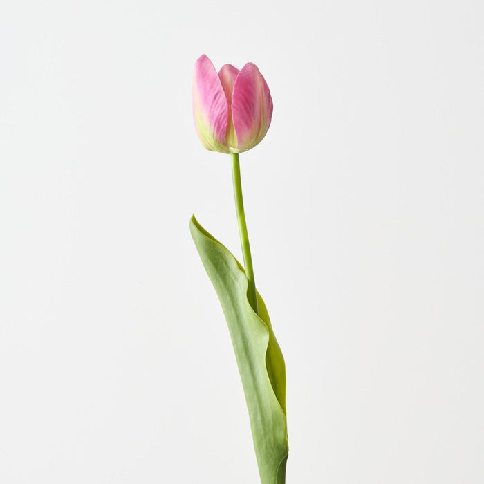 Artificial French Tulip 43cm Fuschia - Pack of 12 - FLORA DESIGNS