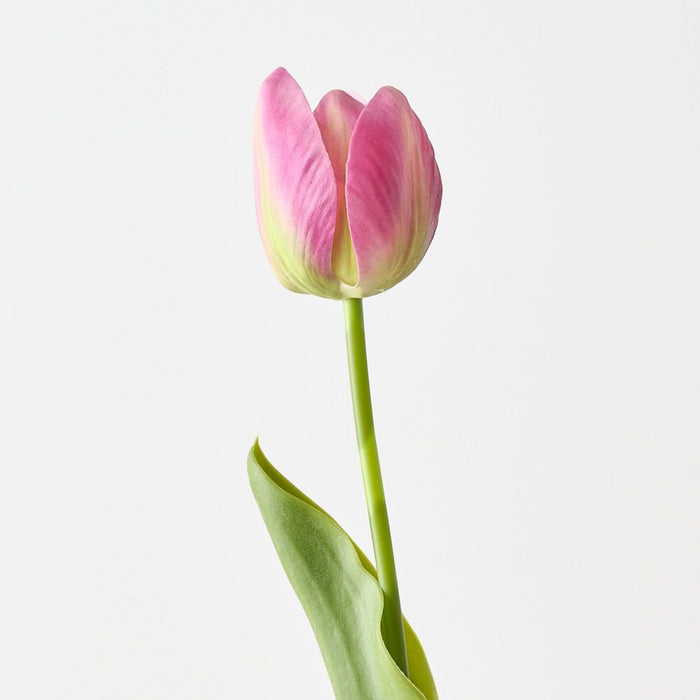 Artificial French Tulip 43cm Fuschia - Pack of 12 - FLORA DESIGNS