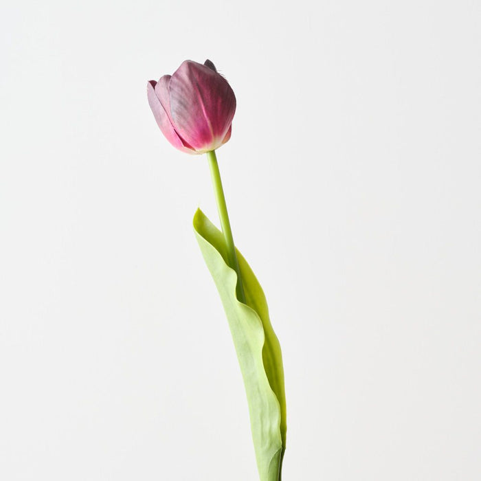 Artificial French Tulip 43cm Burgundy - Pack of 12 - FLORA DESIGNS