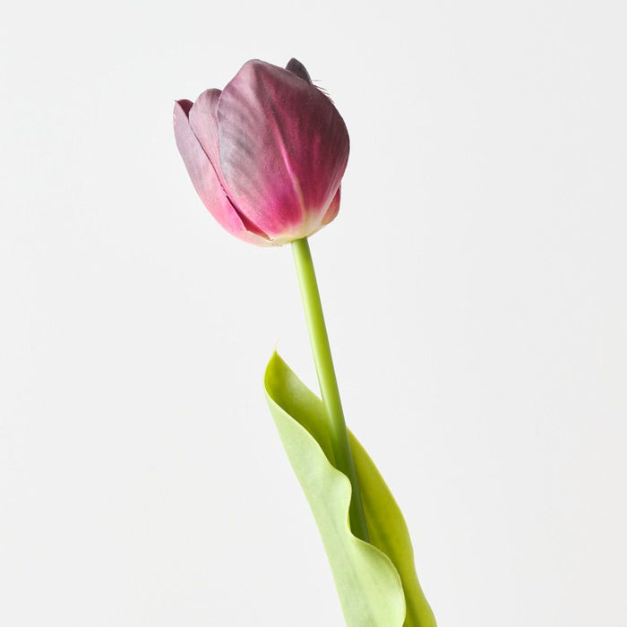 Artificial French Tulip 43cm Burgundy - Pack of 12 - FLORA DESIGNS