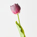 Artificial French Tulip 43cm Burgundy - Pack of 12 - FLORA DESIGNS
