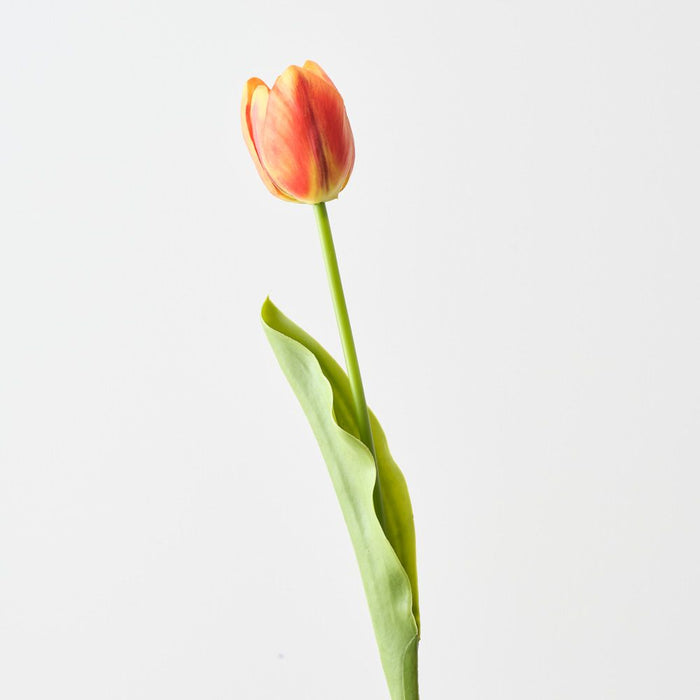 Artificial French Tulip 43cm Orange - Pack of 12 - FLORA DESIGNS
