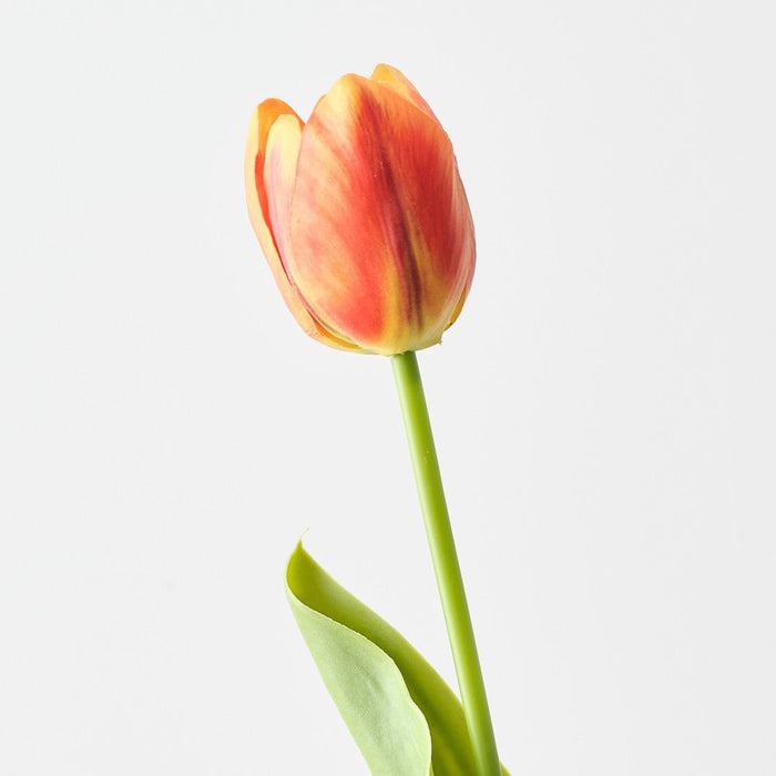 Artificial French Tulip 43cm Orange - Pack of 12 - FLORA DESIGNS