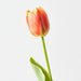 Artificial French Tulip 43cm Orange - Pack of 12 - FLORA DESIGNS