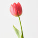 Artificial French Tulip 43cm Red - Pack of 12 - FLORA DESIGNS