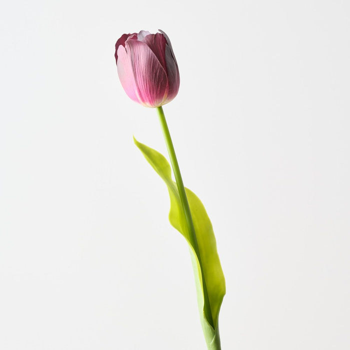 Artificial French Tulip 61cm Burgundy - Pack of 12 - FLORA DESIGNS