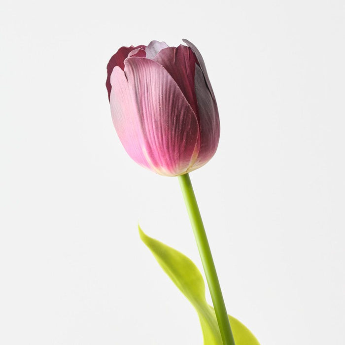Artificial French Tulip 61cm Burgundy - Pack of 12 - FLORA DESIGNS
