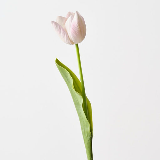 Artificial French Tulip 43cm Soft Pink - Pack of 12 - FLORA DESIGNS