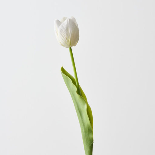 Artificial French Tulip 43cm White Green - Pack of 12 - FLORA DESIGNS