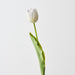 Artificial French Tulip 43cm White Green - Pack of 12 - FLORA DESIGNS