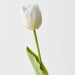 Artificial French Tulip 43cm White Green - Pack of 12 - FLORA DESIGNS