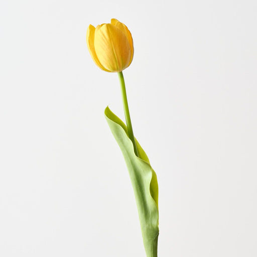 Artificial French Tulip 43cm Yellow - Pack of 12 - FLORA DESIGNS