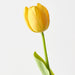 Artificial French Tulip 43cm Yellow - Pack of 12 - FLORA DESIGNS