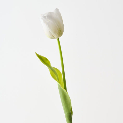 Artificial French Tulip 61cm White Green - Pack of 12 - FLORA DESIGNS