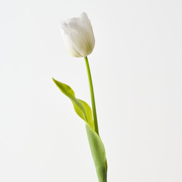 Artificial French Tulip 61cm White Green - Pack of 12 - FLORA DESIGNS