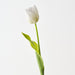 Artificial French Tulip 61cm White Green - Pack of 12 - FLORA DESIGNS