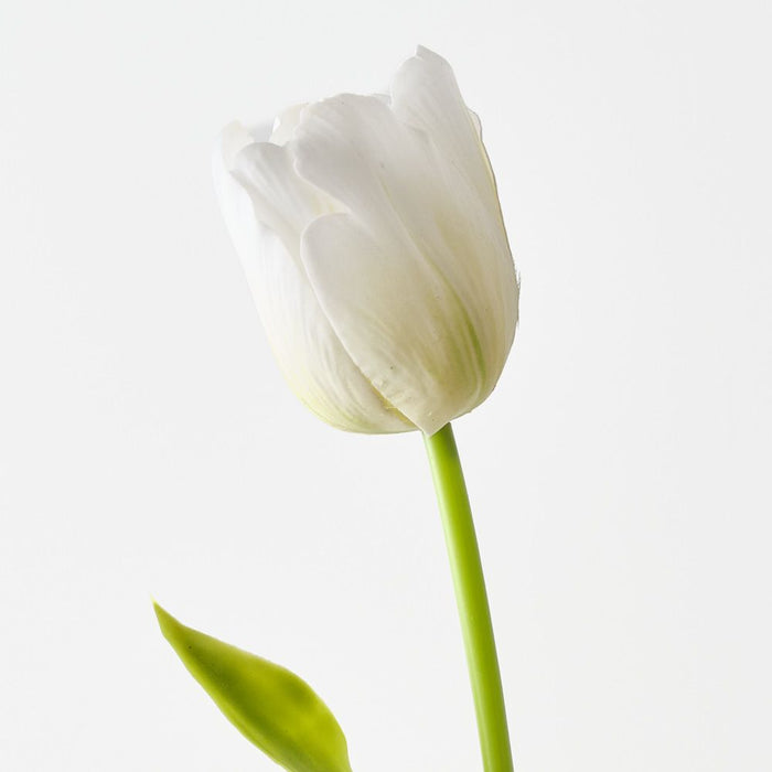Artificial French Tulip 61cm White Green - Pack of 12 - FLORA DESIGNS