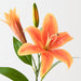 Artificial Tiger Lily 73cm Orange - Pack of 12 - FLORA DESIGNS