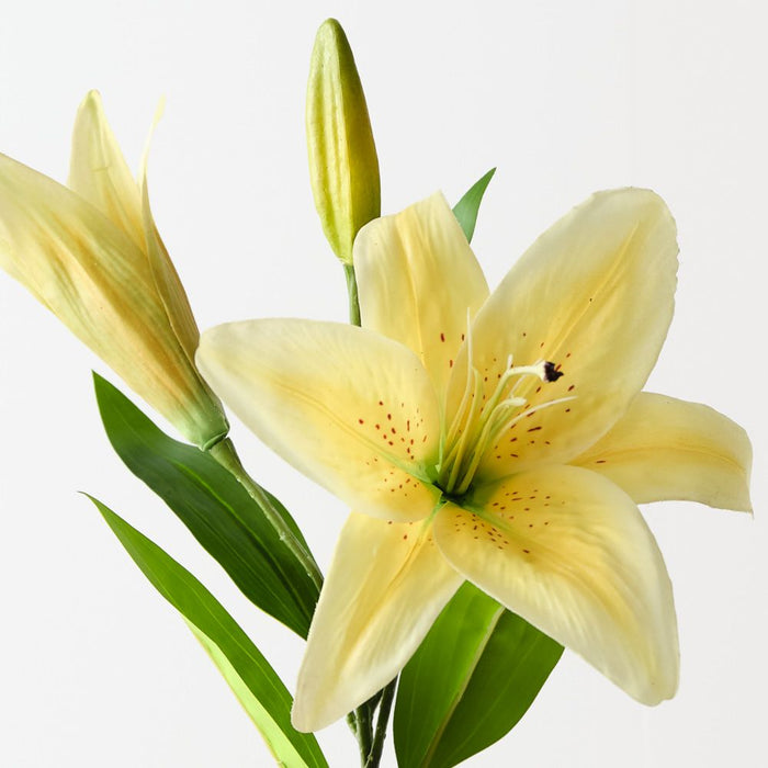 Artificial Tiger Lily 73cm Yellow - Pack of 12 - FLORA DESIGNS
