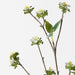 Artificial Wax Flower Spray 61cm White - Pack of 24 - FLORA DESIGNS