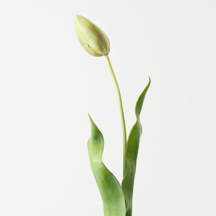 Artificial Dutch Tulip 69cm Green - Pack of 12 - FLORA DESIGNS