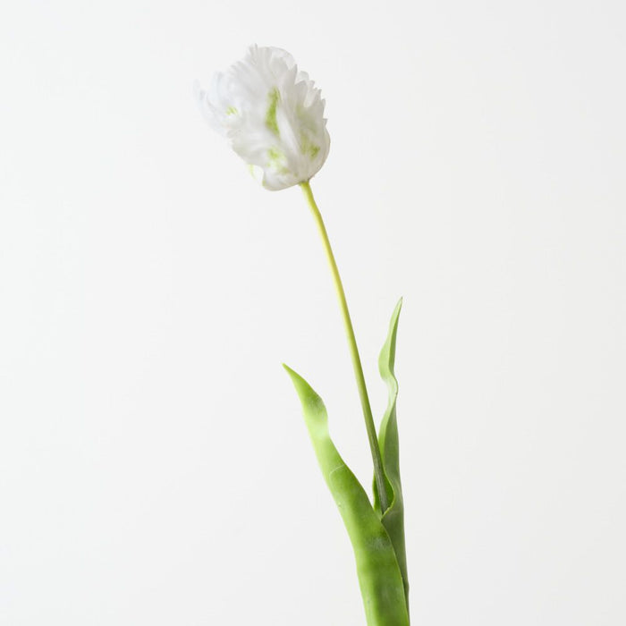 Artificial Parrot Tulip 68cm White Green - Pack of 12 - FLORA DESIGNS