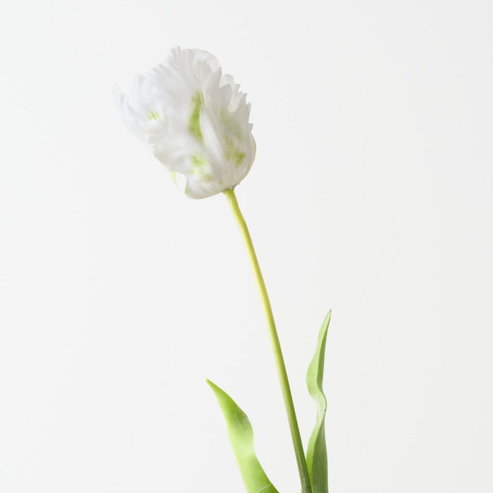 Artificial Parrot Tulip 68cm White Green - Pack of 12 - FLORA DESIGNS