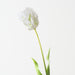 Artificial Parrot Tulip 68cm White Green - Pack of 12 - FLORA DESIGNS