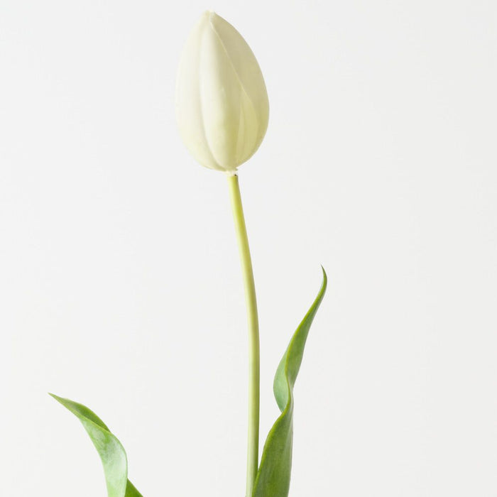 Artificial Dutch Tulip 69cm Cream - Pack of 12 - FLORA DESIGNS