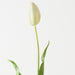 Artificial Dutch Tulip 69cm Cream - Pack of 12 - FLORA DESIGNS