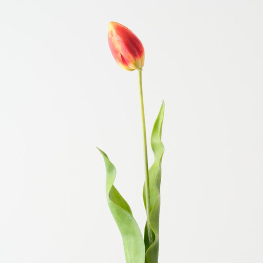 Artificial Dutch Tulip 69cm Flame - Pack of 12 - FLORA DESIGNS
