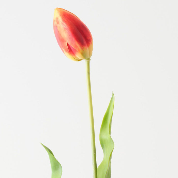 Artificial Dutch Tulip 69cm Flame - Pack of 12 - FLORA DESIGNS