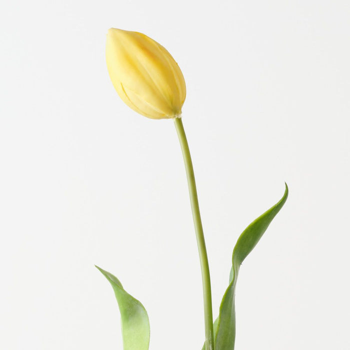 Artificial Dutch Tulip 69cm Yellow - Pack of 12 - FLORA DESIGNS
