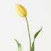 Artificial Dutch Tulip 69cm Yellow - Pack of 12 - FLORA DESIGNS