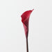 Artificial Calla Lily 64cm Burgundy - FLORA DESIGNS