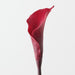 Artificial Calla Lily 64cm Burgundy - FLORA DESIGNS