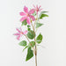 Artificial Clematis Spray 81cm Hot Pink - Pack of 12 - FLORA DESIGNS