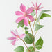 Artificial Clematis Spray 81cm Hot Pink - Pack of 12 - FLORA DESIGNS