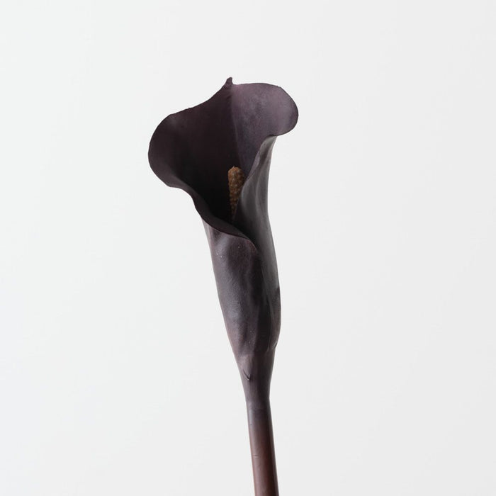Artificial Calla Lily 80cm Plum - Pack of 12 - FLORA DESIGNS