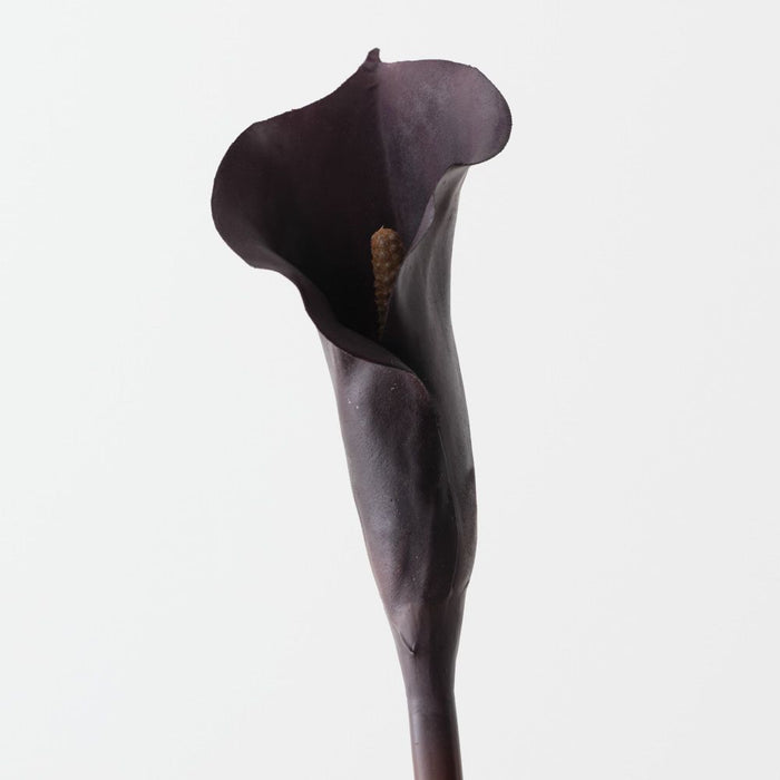 Artificial Calla Lily 80cm Plum - Pack of 12 - FLORA DESIGNS