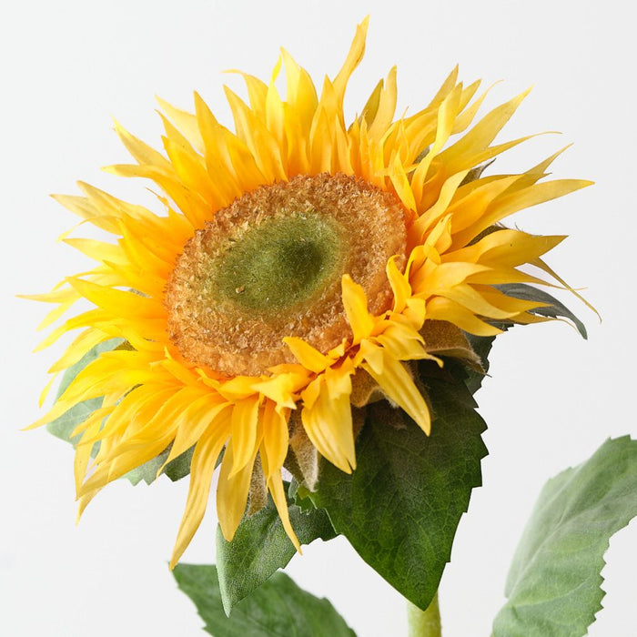 Artificial Sunflower 61cm Yellow Green - Pack of 12 - FLORA DESIGNS