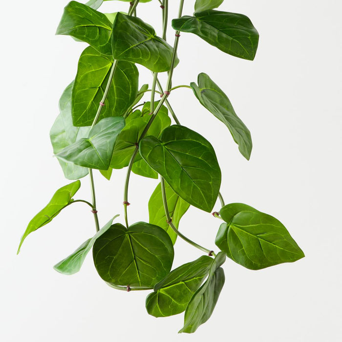 Artificial Anthurium Leaf Hanging Bush 122cm Green - Pack of 6 - FLORA DESIGNS