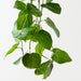Artificial Anthurium Leaf Hanging Bush 122cm Green - Pack of 6 - FLORA DESIGNS