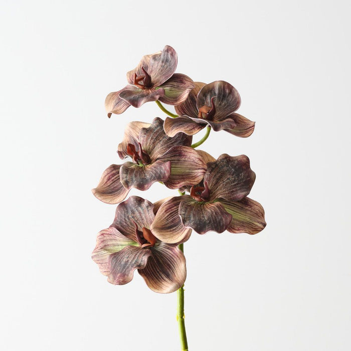 Artificial Vanda Orchid 66cm Brown - FLORA DESIGNS