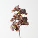 Artificial Vanda Orchid 66cm Brown - FLORA DESIGNS