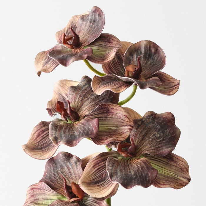 Artificial Vanda Orchid 66cm Brown - FLORA DESIGNS