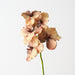 Artificial Vanda Orchid 66cm Coffee - Pack of 6 - FLORA DESIGNS