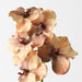 Artificial Vanda Orchid 66cm Coffee - Pack of 6 - FLORA DESIGNS