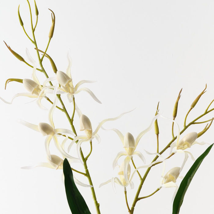 Artificial Lady Slipper Orchid Bush 75cm White - FLORA DESIGNS