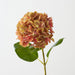 Artificial Hydrangea 63cm Mustard Blush - Pack of 12 - FLORA DESIGNS